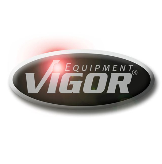 фотографія Vigor
